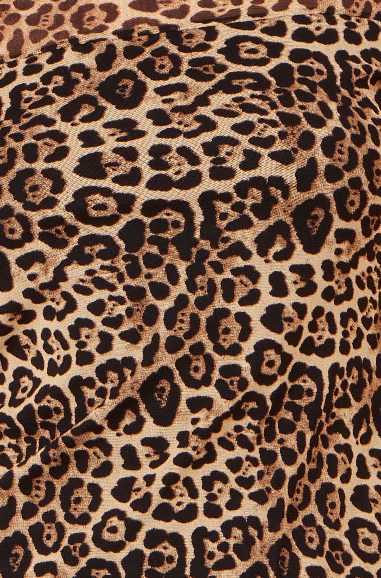 Yumi Brown Leopard Print Mesh Stretch Fitted Top