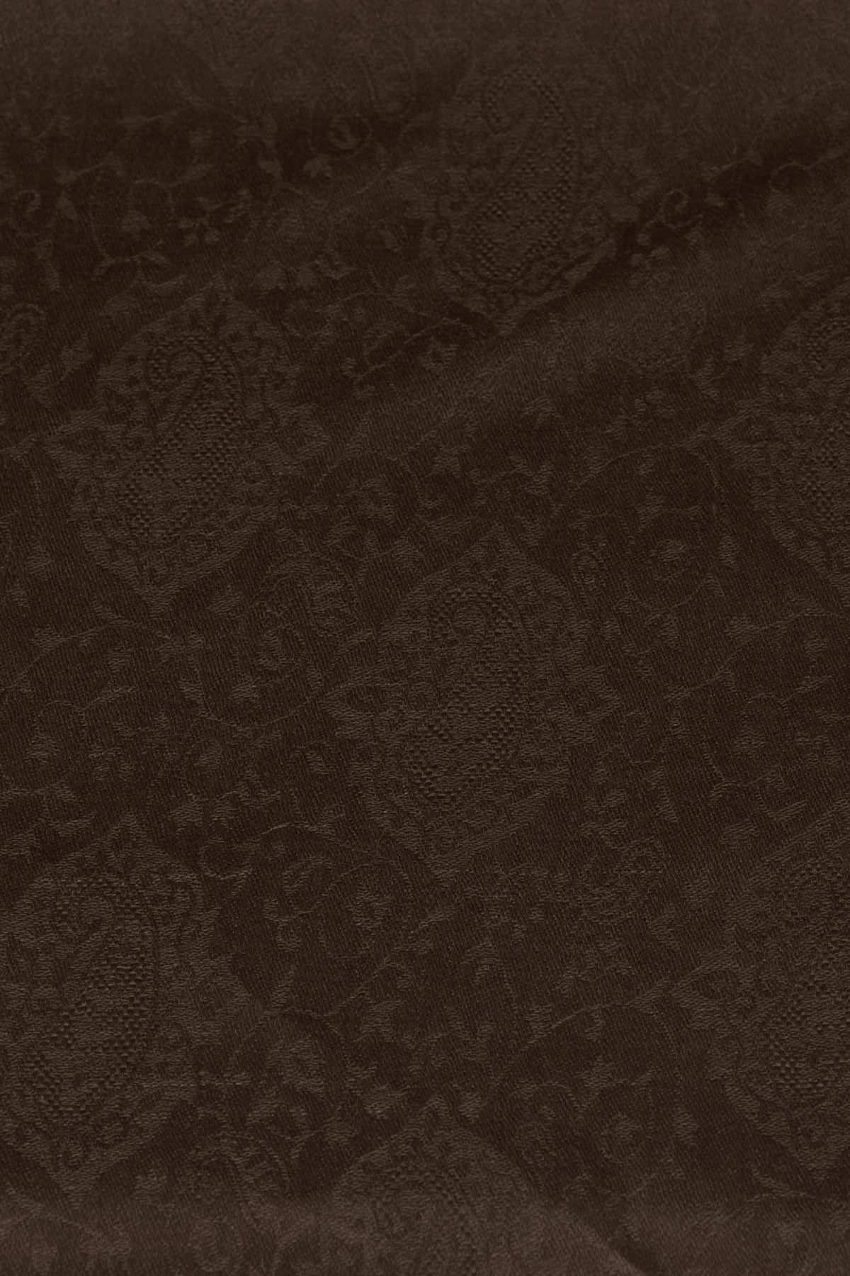 Paisley Jacquard Weave Cashmere Wool Scarf - Brown