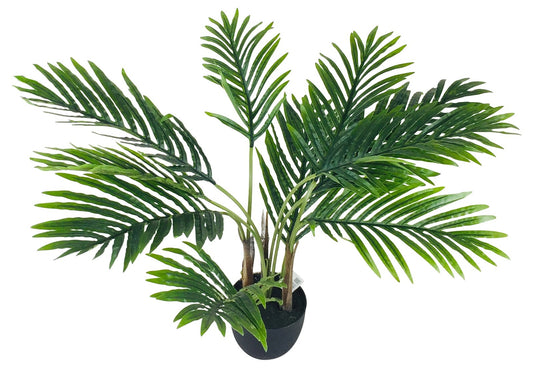 Artificial Palm Tree 65cm - Kaftan direct