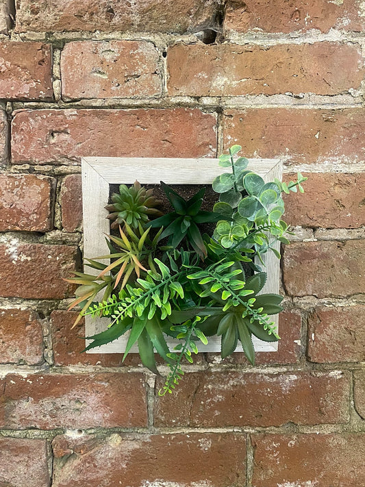 Artificial Succulents In Square Wooden Frame - Kaftan direct