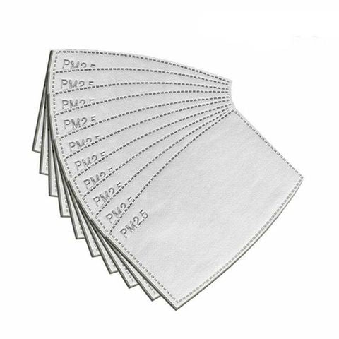 PM2.5 Face Mask Filter Insert (Children)