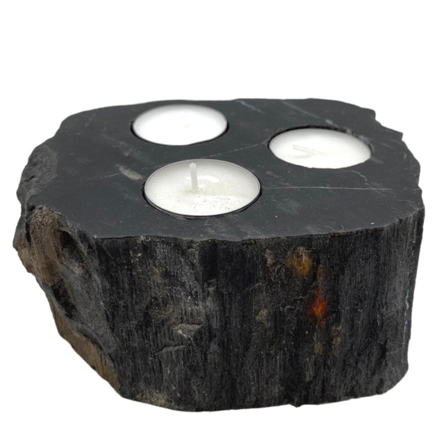 Petrified Wood Candle Holder - Triple - Kaftans direct