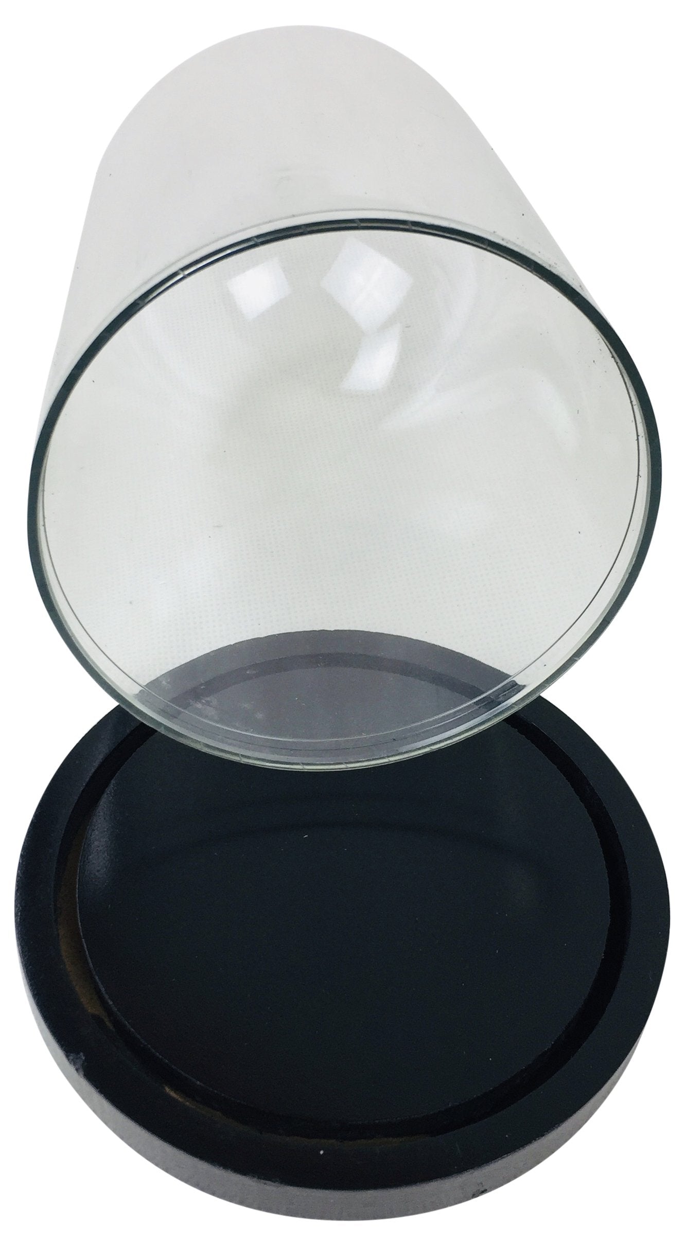 Plastic Display Dome 16.5cm - Kaftan direct