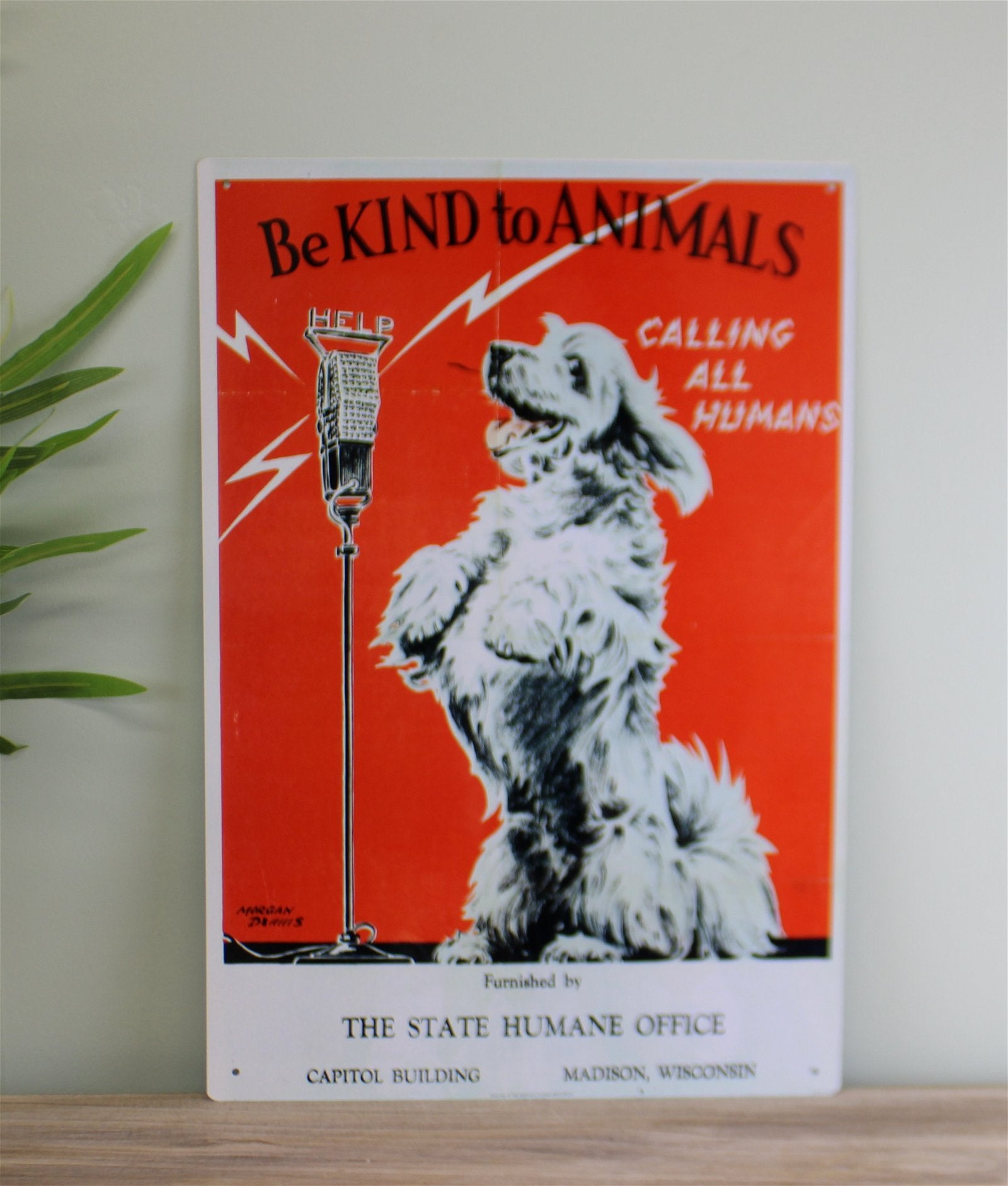 Vintage Metal Sign - Retro Advertising - Be Kind To Animals - Kaftan direct