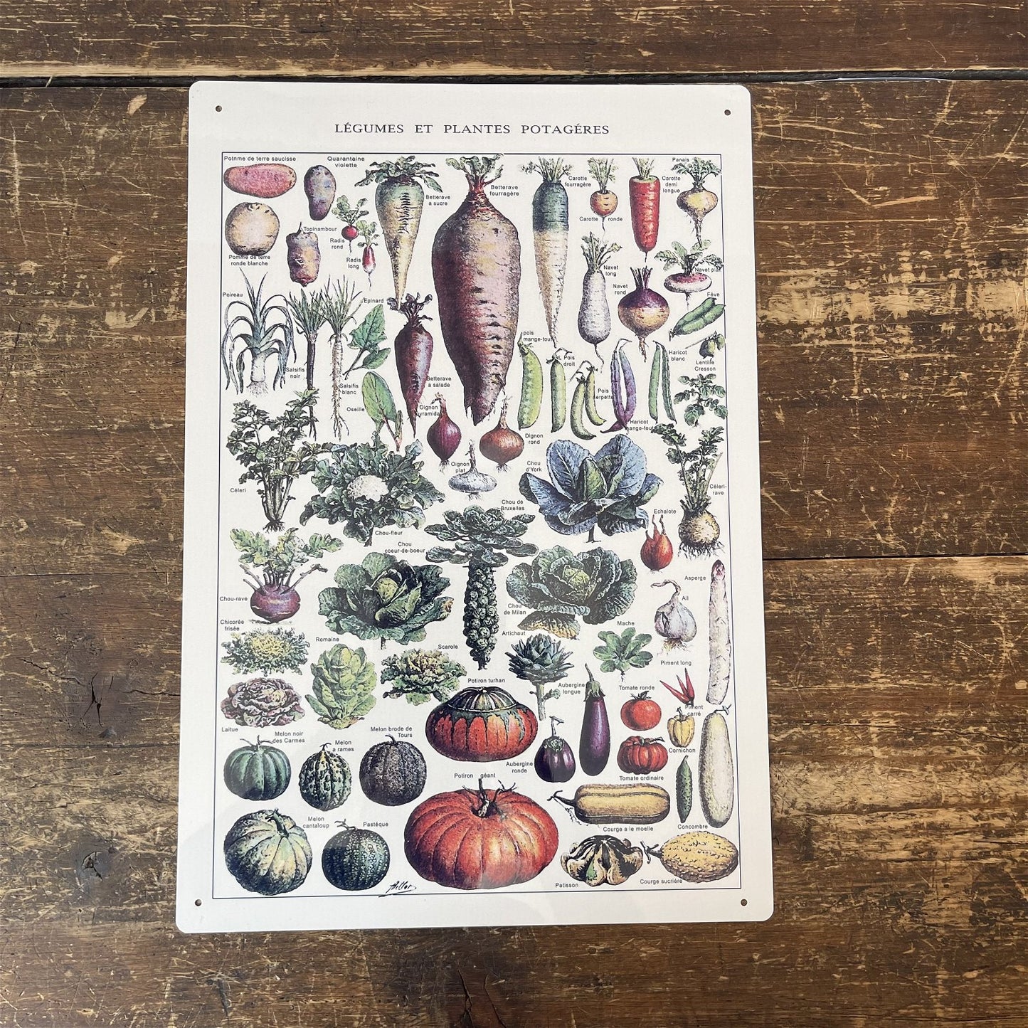 Vintage Metal Sign - Vintage Botanical Kitchen Vegetables Sign - Kaftan direct