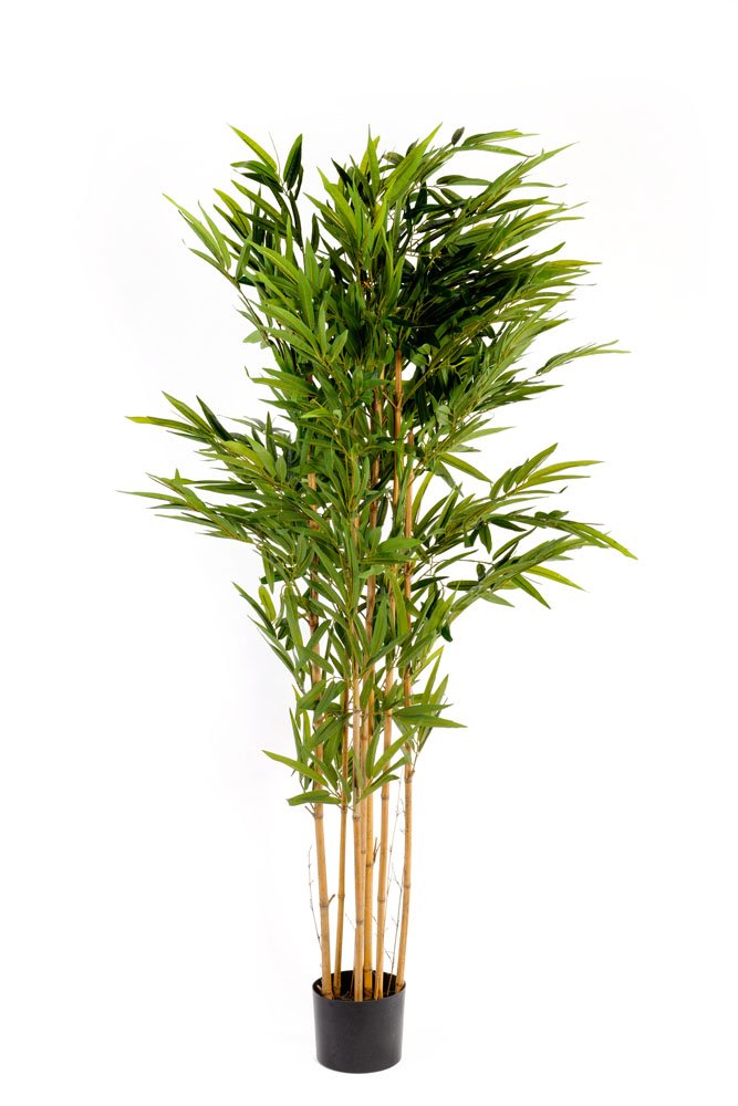 Artificial 6ft Bamboo Tree - Kaftan direct