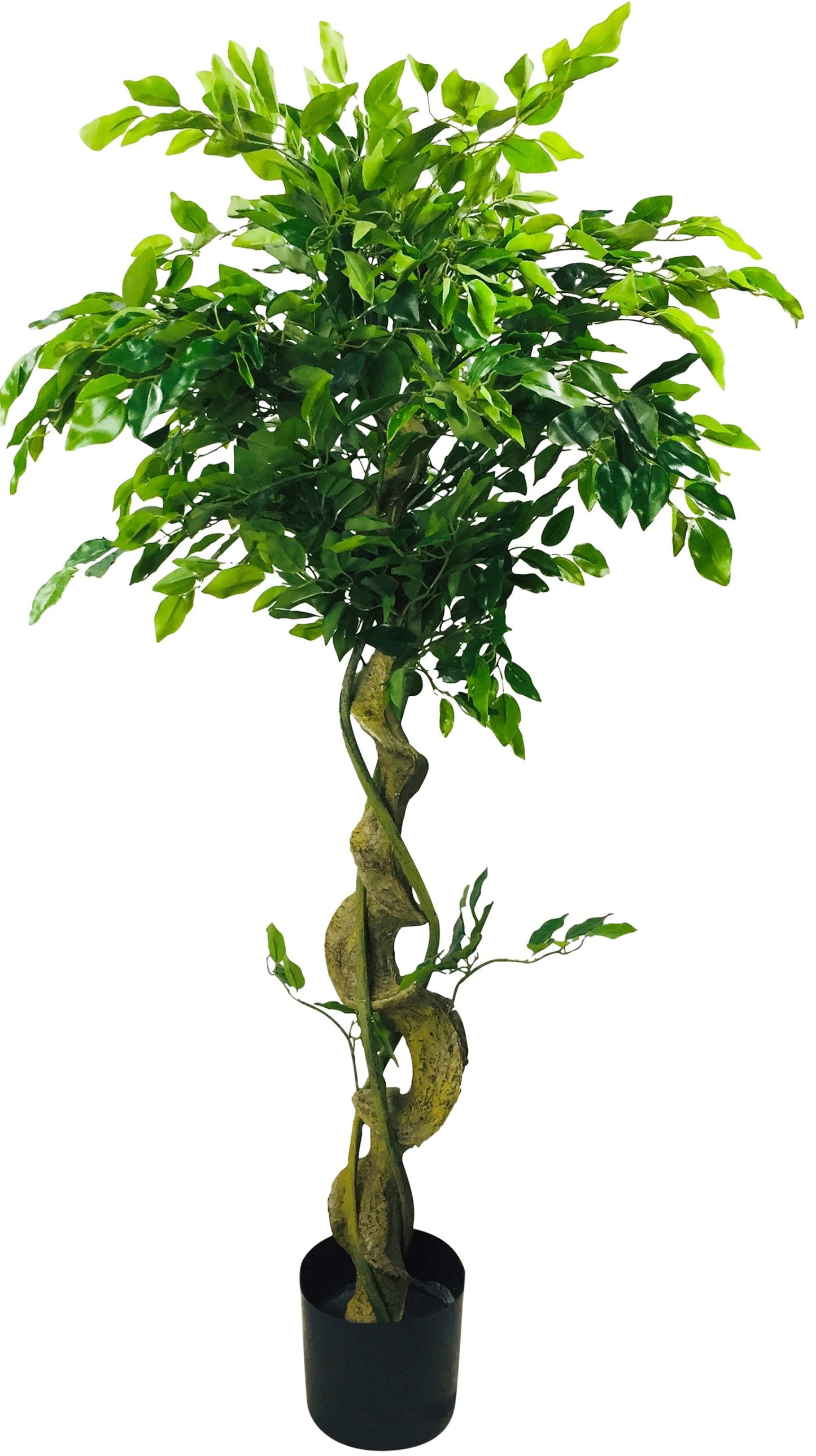 Artificial Ficus Tree With Twisted Trunk 137cm - Kaftan direct