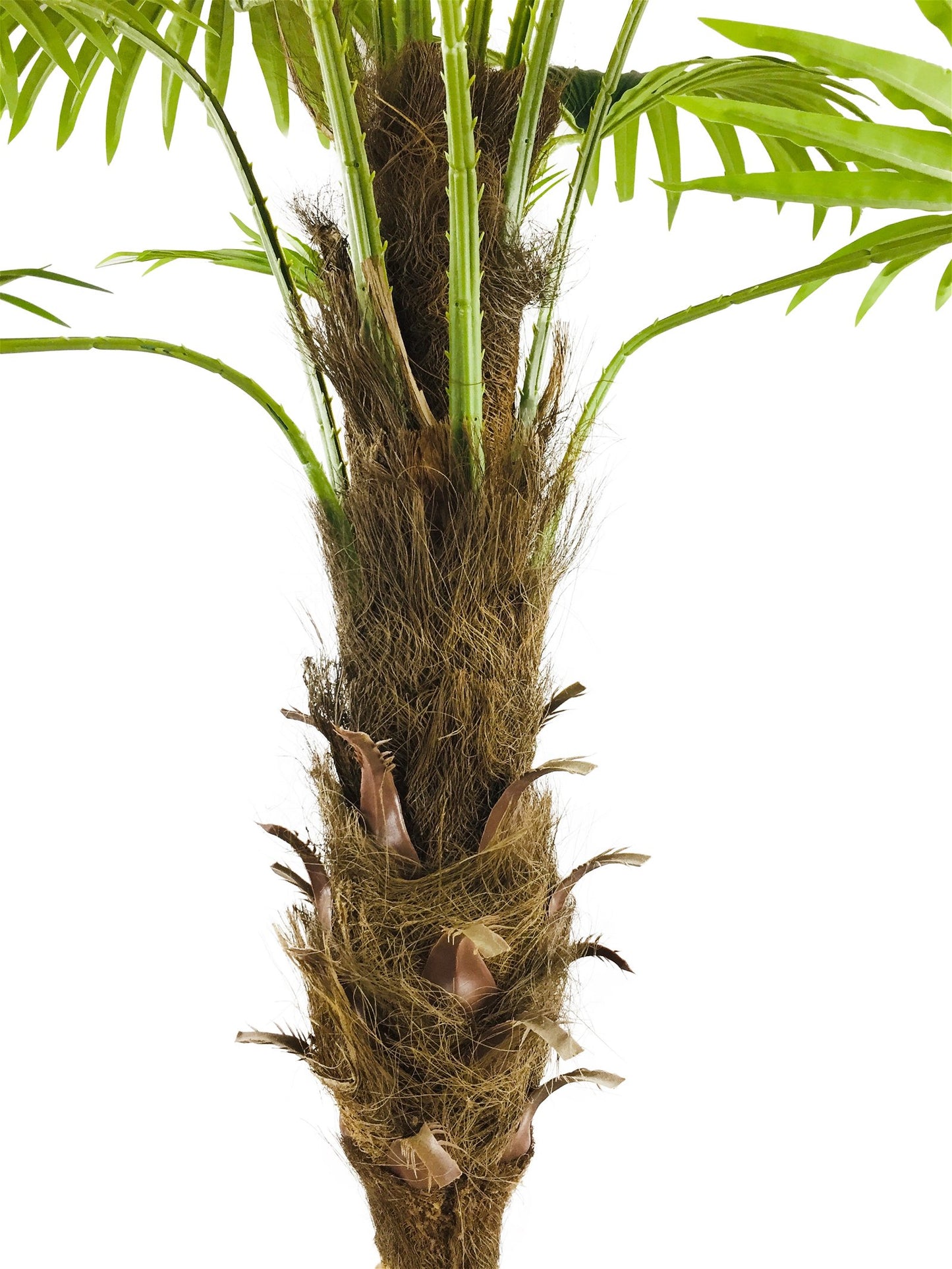 Artificial Fan Palm Tree 190cm - Kaftan direct
