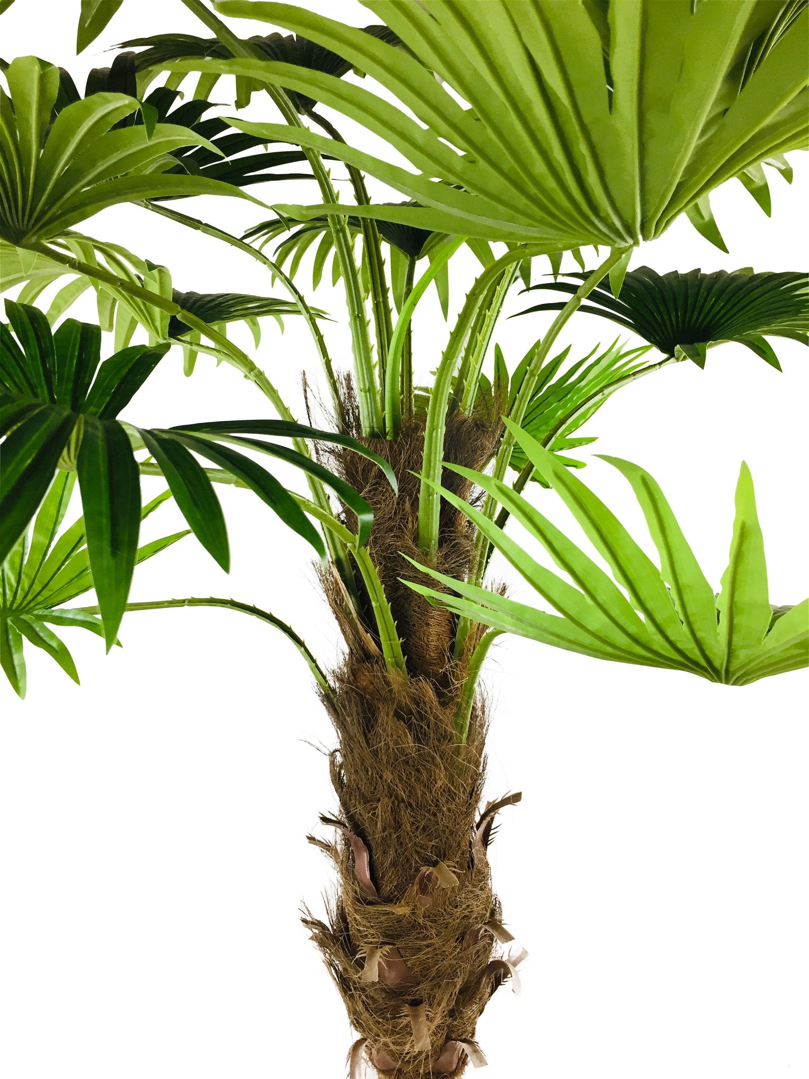 Artificial Fan Palm Tree 190cm - Kaftan direct
