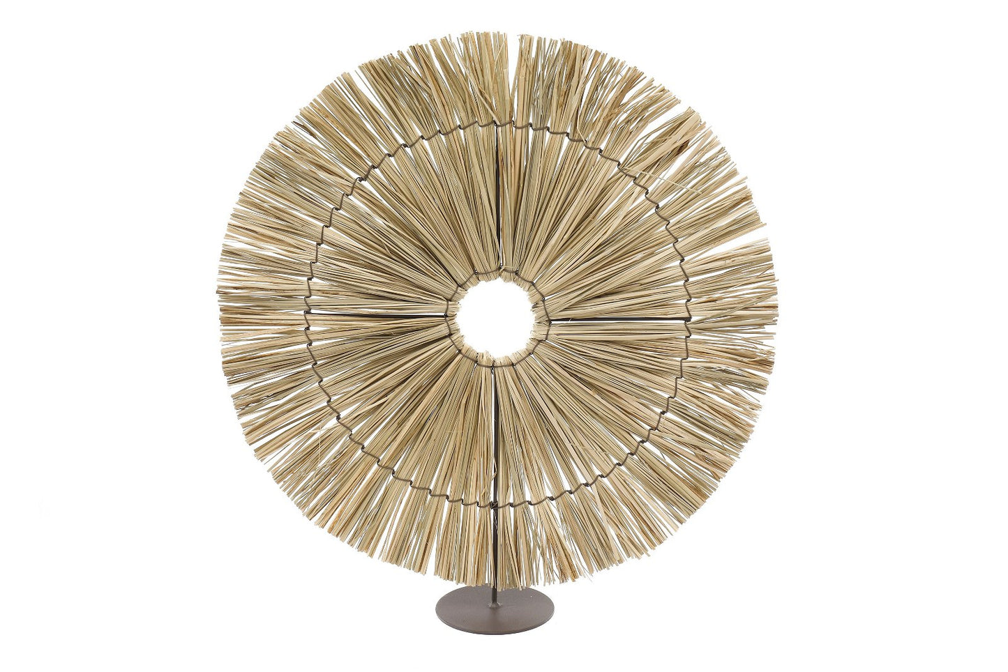 Dried Sun Grass On Stand Decoration 54cm