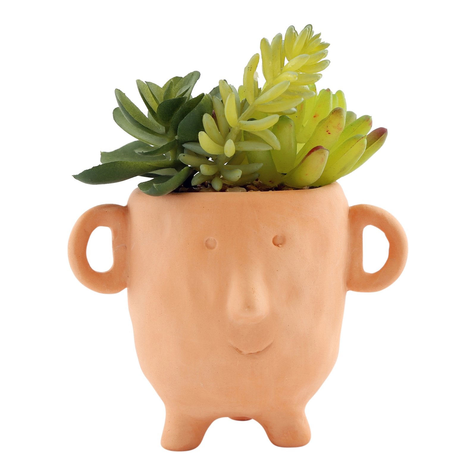 Face Terracotta Pot With Faux Cacti Small - Kaftan direct