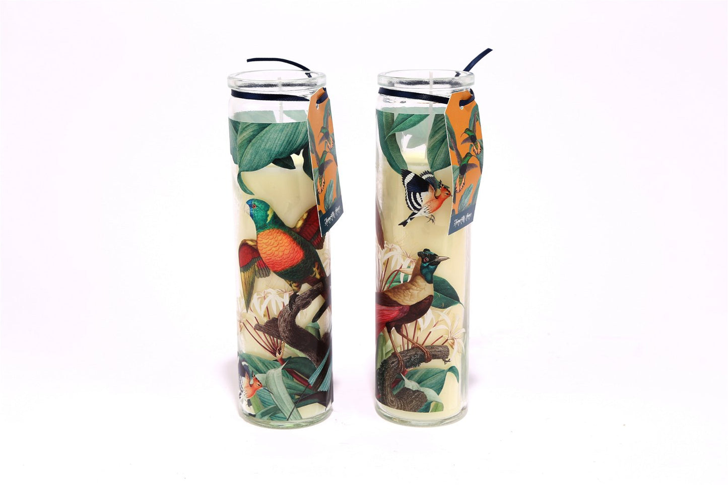 Bird Of Paradise Glass With Candle, Set of Two - Kaftan direct