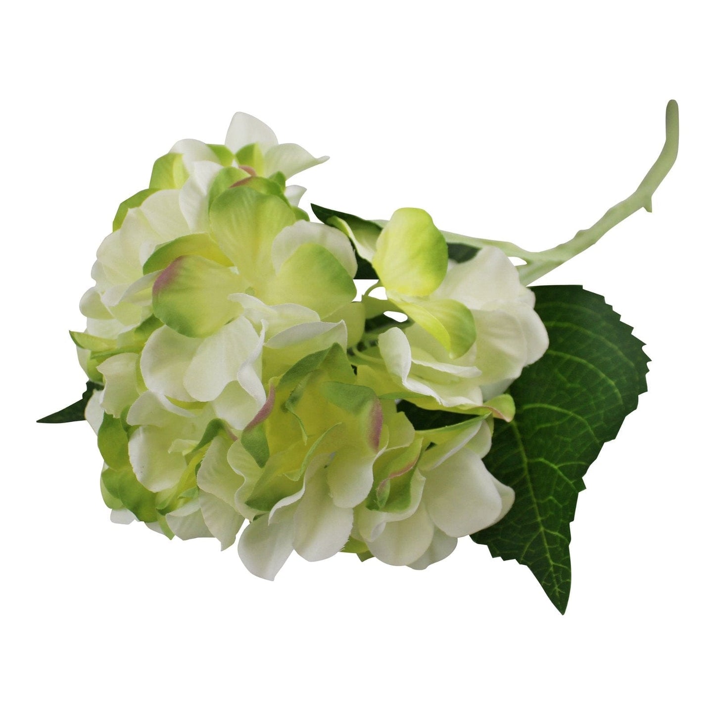 Single Hydrangea Spray, Cream & Green Flower, 49cm - Kaftan direct