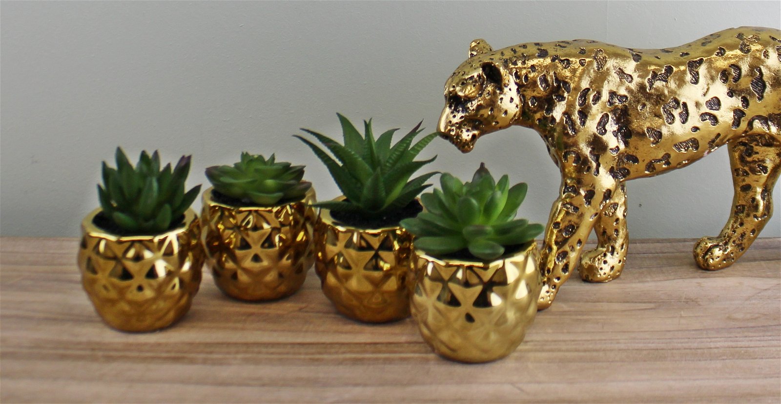 Set of 4 Miniature Succulents In Gold Geometric Pots - Kaftan direct