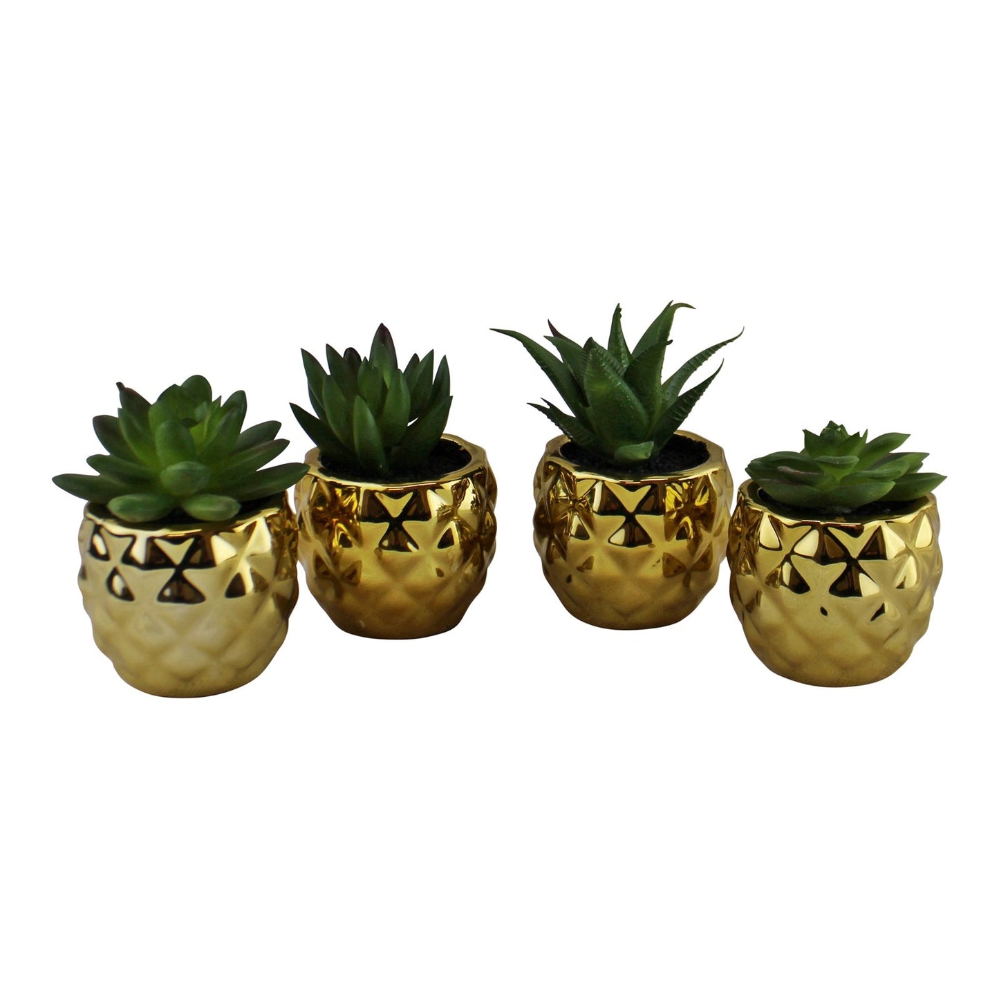 Set of 4 Miniature Succulents In Gold Geometric Pots - Kaftan direct