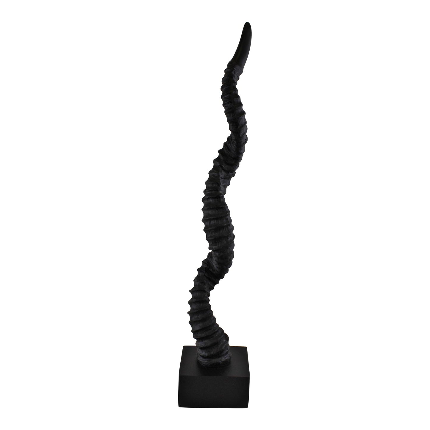 Antelope Horn Sculpture, 50cm