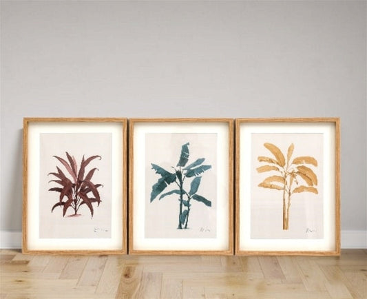 Tropical Palm Wall Art in Frames - Kaftan direct