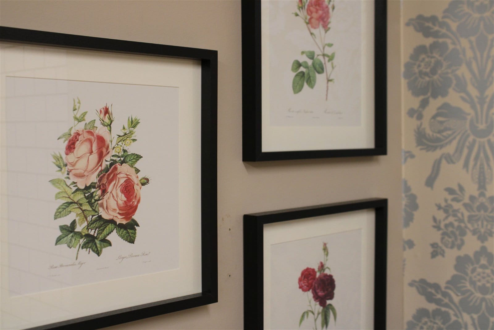 Set of Three Pink Rose Prints in Frames - Kaftan direct