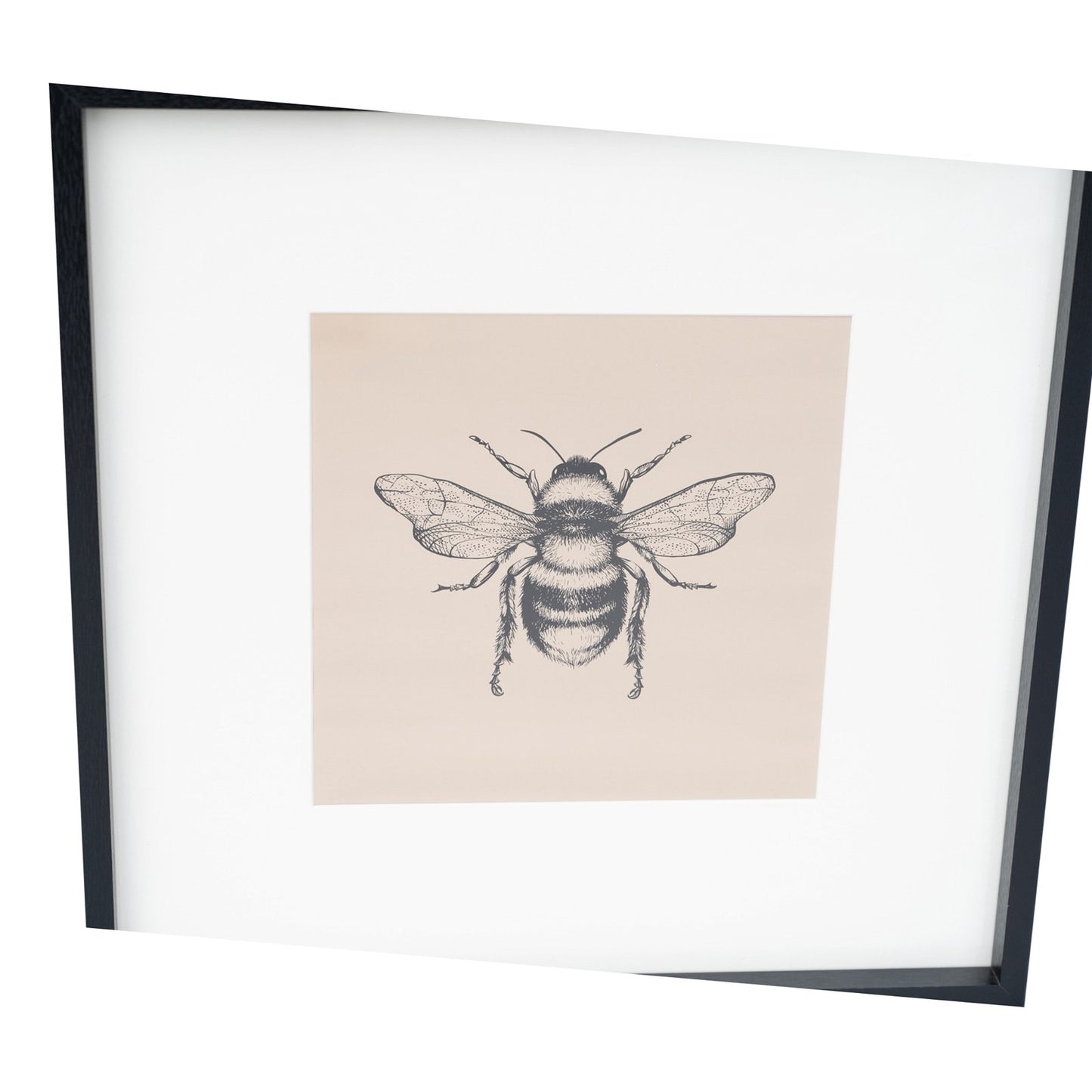 Set of 2 Bee Framed Prints